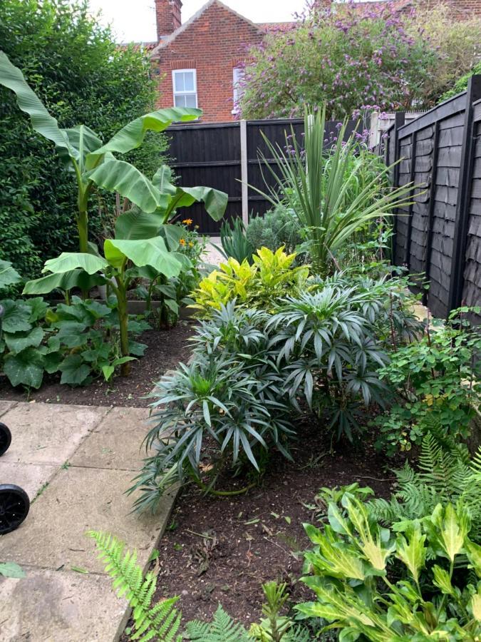 Beautiful Two Bed Victorian Terrace House Villa Norwich Luaran gambar